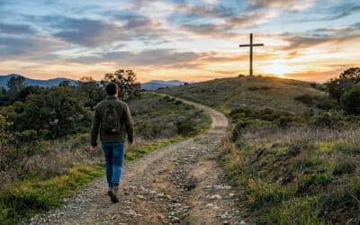 Love, Life, and The Pursuit of Wisdom