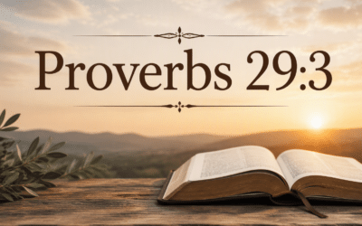 Understanding Proverbs 29:3 – Wisdom, Joy, and Wealth